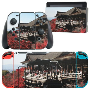 igsticker Nintendo Switch p fUCXLV[ CV jeh[ XCb` p {̃hbN Joy-Con Joycon WCR p Q[@ Jo[ ANZT[ tB XebJ[ 003271 N[ 