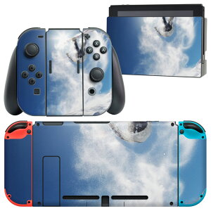 igsticker Nintendo Switch p fUCXLV[ CV jeh[ XCb` p {̃hbN Joy-Con Joycon WCR p Q[@ Jo[ ANZT[ tB XebJ[ 003388 X|[c 