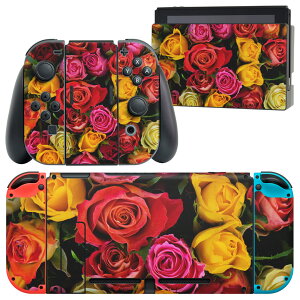 igsticker Nintendo Switch p fUCXLV[ CV jeh[ XCb` p {̃hbN Joy-Con Joycon WCR p Q[@ Jo[ ANZT[ tB XebJ[ 003427 ԁ@J