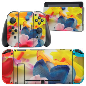 igsticker Nintendo Switch p fUCXLV[ CV jeh[ XCb` p {̃hbN Joy-Con Joycon WCR p Q[@ Jo[ ANZT[ tB XebJ[ 003563 ԁ@ʐ^