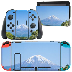 igsticker Nintendo Switch p fUCXLV[ CV jeh[ XCb` p {̃hbN Joy-Con Joycon WCR p Q[@ Jo[ ANZT[ tB XebJ[ 003576 i@i