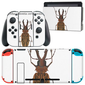 igsticker Nintendo Switch p fUCXLV[ CV jeh[ XCb` p {̃hbN Joy-Con Joycon WCR p Q[@ Jo[ ANZT[ tB XebJ[ 020004  long horne