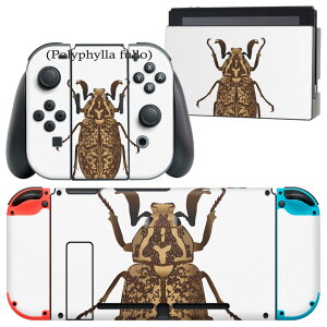 igsticker Nintendo Switch p fUCXLV[ CV jeh[ XCb` p {̃hbN Joy-Con Joycon WCR p Q[@ Jo[ ANZT[ tB XebJ[ 020014   polyph
