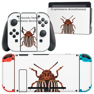 igsticker Nintendo Switch 用 デザインスキンシール 任天堂 ニンテンドー スイッチ 専用 本体ドック Joy-Con Joycon ジョイコン 専用 ゲーム機 カバー アクセサリー フィルム ステッカー 020022 虫 虫 colora