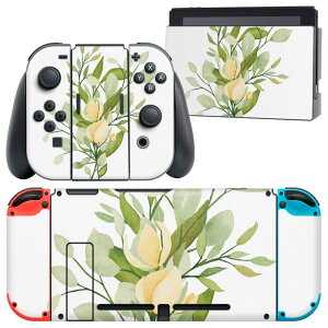 igsticker Nintendo Switch �p �f�U�C���X�L���V�[�� �C�V�� �j���e���h�[ �X�C�b�` ��p �{�̃h�b�N Joy-Con Joycon �W���C�R�� ��p �Q�[���@ �J�o�[ �A�N�Z�T���[ �t�B���� �X�e�b�J�[ 020058 �Ђ܂�� 