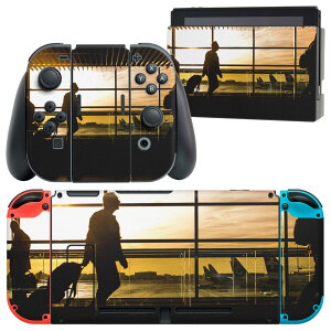 igsticker Nintendo Switch p fUCXLV[ CV jeh[ XCb` p {̃hbN Joy-Con Joycon WCR p Q[@ Jo[ ANZT[ tB XebJ[ 022847 ʐ^@