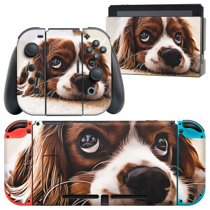 igsticker Nintendo Switch p fUCXLV[ CV jeh[ XCb` p {̃hbN Joy-Con Joycon WCR p Q[@ Jo[ ANZT[ tB XebJ[ 022868 @ʐ^