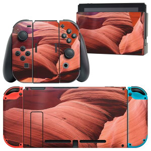 igsticker Nintendo Switch p fUCXLV[ CV jeh[ XCb` p {̃hbN Joy-Con Joycon WCR p Q[@ Jo[ ANZT[ tB XebJ[ 022871 