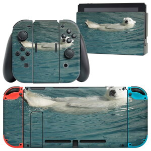 igsticker Nintendo Switch p fUCXLV[ CV jeh[ XCb` p {̃hbN Joy-Con Joycon WCR p Q[@ Jo[ ANZT[ tB XebJ[ 022960 ܁@
