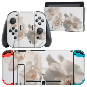 igsticker Nintendo Switch p fUCXLV[ CV jeh[ XCb` p {̃hbN Joy-Con Joycon WCR p Q[@ Jo[ ANZT[ tB XebJ[ 022963 ԁ@ʐ^