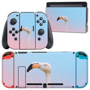 igsticker Nintendo Switch p fUCXLV[ CV jeh[ XCb` p {̃hbN Joy-Con Joycon WCR p Q[@ Jo[ ANZT[ tB XebJ[ 022982 t~