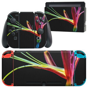 igsticker Nintendo Switch p fUCXLV[ CV jeh[ XCb` p {̃hbN Joy-Con Joycon WCR p Q[@ Jo[ ANZT[ tB XebJ[ 022986 ԁ@J
