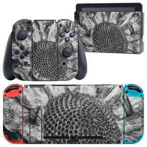 igsticker Nintendo Switch p fUCXLV[ CV jeh[ XCb` p {̃hbN Joy-Con Joycon WCR p Q[@ Jo[ ANZT[ tB XebJ[ 022990 Ђ܂