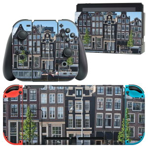 igsticker Nintendo Switch p fUCXLV[ CV jeh[ XCb` p {̃hbN Joy-Con Joycon WCR p Q[@ Jo[ ANZT[ tB XebJ[ 023040 X@i