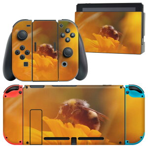 igsticker Nintendo Switch p fUCXLV[ CV jeh[ XCb` p {̃hbN Joy-Con Joycon WCR p Q[@ Jo[ ANZT[ tB XebJ[ 023042 I@ԁ@