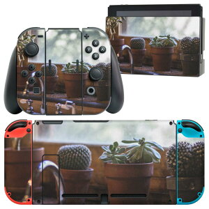 igsticker Nintendo Switch �p �f�U�C���X�L���V�[�� �C�V�� �j���e���h�[ �X�C�b�` ��p �{�̃h�b�N Joy-Con Joycon �W���C�R�� ��p �Q�[���@ �J�o�[ �A�N�Z�T���[ �t�B���� �X�e�b�J�[ 023053 �T�{�e��