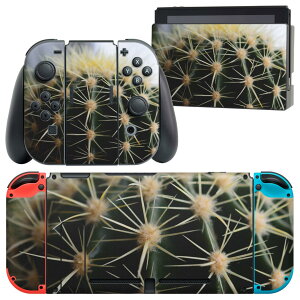 igsticker Nintendo Switch p fUCXLV[ CV jeh[ XCb` p {̃hbN Joy-Con Joycon WCR p Q[@ Jo[ ANZT[ tB XebJ[ 023055 T{e