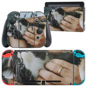 igsticker Nintendo Switch p fUCXLV[ CV jeh[ XCb` p {̃hbN Joy-Con Joycon WCR p Q[@ Jo[ ANZT[ tB XebJ[ 023085 L@˂