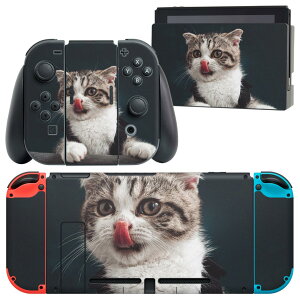 igsticker Nintendo Switch p fUCXLV[ CV jeh[ XCb` p {̃hbN Joy-Con Joycon WCR p Q[@ Jo[ ANZT[ tB XebJ[ 023096 L@˂