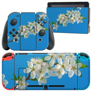 igsticker Nintendo Switch p fUCXLV[ CV jeh[ XCb` p {̃hbN Joy-Con Joycon WCR p Q[@ Jo[ ANZT[ tB XebJ[ 023105 ԁ@ʐ^
