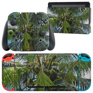 igsticker Nintendo Switch p fUCXLV[ CV jeh[ XCb` p {̃hbN Joy-Con Joycon WCR p Q[@ Jo[ ANZT[ tB XebJ[ 023141 V̖