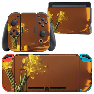 igsticker Nintendo Switch p fUCXLV[ CV jeh[ XCb` p {̃hbN Joy-Con Joycon WCR p Q[@ Jo[ ANZT[ tB XebJ[ 023183 ԁ@ʐ^