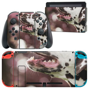 igsticker Nintendo Switch p fUCXLV[ CV jeh[ XCb` p {̃hbN Joy-Con Joycon WCR p Q[@ Jo[ ANZT[ tB XebJ[ 023189 @