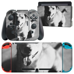 igsticker Nintendo Switch p fUCXLV[ CV jeh[ XCb` p {̃hbN Joy-Con Joycon WCR p Q[@ Jo[ ANZT[ tB XebJ[ 023224 @m