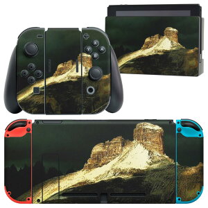 igsticker Nintendo Switch p fUCXLV[ CV jeh[ XCb` p {̃hbN Joy-Con Joycon WCR p Q[@ Jo[ ANZT[ tB XebJ[ 023227 iF@