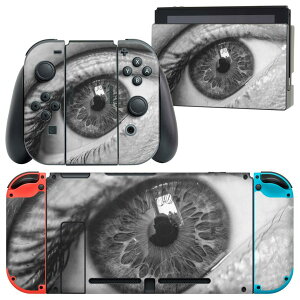 igsticker Nintendo Switch �p �f�U�C���X�L���V�[�� �C�V�� �j���e���h�[ �X�C�b�` ��p �{�̃h�b�N Joy-Con Joycon �W���C�R�� ��p �Q�[���@ �J�o�[ �A�N�Z�T���[ �t�B���� �X�e�b�J�[ 023249 �ځ@�ʐ^