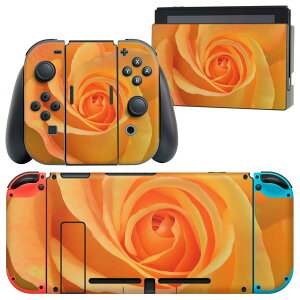 igsticker Nintendo Switch �p �f�U�C���X�L���V�[�� �C�V�� �j���e���h�[ �X�C�b�` ��p �{�̃h�b�N Joy-Con Joycon �W���C�R�� ��p �Q�[���@ �J�o�[ �A�N�Z�T���[ �t�B���� �X�e�b�J�[ 023308 �ԁ@�t��