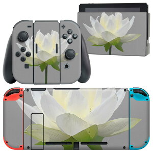 igsticker Nintendo Switch p fUCXLV[ CV jeh[ XCb` p {̃hbN Joy-Con Joycon WCR p Q[@ Jo[ ANZT[ tB XebJ[ 023324 ԁ@t