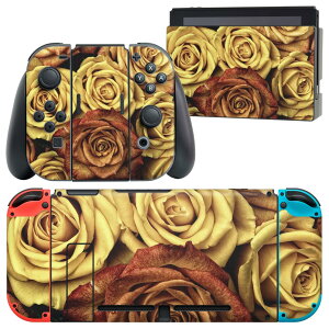 igsticker Nintendo Switch p fUCXLV[ CV jeh[ XCb` p {̃hbN Joy-Con Joycon WCR p Q[@ Jo[ ANZT[ tB XebJ[ 023338 ԁ@t