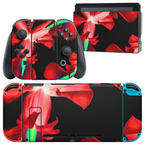 igsticker Nintendo Switch p fUCXLV[ CV jeh[ XCb` p {̃hbN Joy-Con Joycon WCR p Q[@ Jo[ ANZT[ tB XebJ[ 023340 ԁ@t