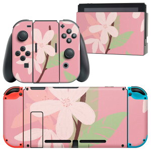 igsticker Nintendo Switch p fUCXLV[ CV jeh[ XCb` p {̃hbN Joy-Con Joycon WCR p Q[@ Jo[ ANZT[ tB XebJ[ 023351 ԁ@t