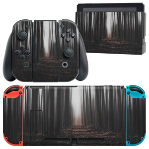 igsticker Nintendo Switch p fUCXLV[ CV jeh[ XCb` p {̃hbN Joy-Con Joycon WCR p Q[@ Jo[ ANZT[ tB XebJ[ 023372 ÈŁ@