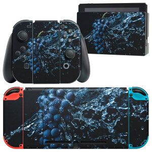igsticker Nintendo Switch p fUCXLV[ CV jeh[ XCb` p {̃hbN Joy-Con Joycon WCR p Q[@ Jo[ ANZT[ tB XebJ[ 023379 Ԃǂ@