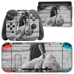 igsticker Nintendo Switch p fUCXLV[ CV jeh[ XCb` p {̃hbN Joy-Con Joycon WCR p Q[@ Jo[ ANZT[ tB XebJ[ 023389 q@