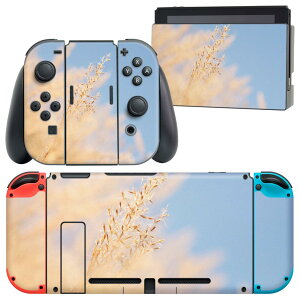 igsticker Nintendo Switch p fUCXLV[ CV jeh[ XCb` p {̃hbN Joy-Con Joycon WCR p Q[@ Jo[ ANZT[ tB XebJ[ 023405 ʐ^@i