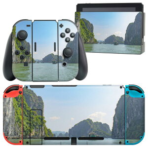 igsticker Nintendo Switch p fUCXLV[ CV jeh[ XCb` p {̃hbN Joy-Con Joycon WCR p Q[@ Jo[ ANZT[ tB XebJ[ 023415 iF@