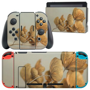 igsticker Nintendo Switch p fUCXLV[ CV jeh[ XCb` p {̃hbN Joy-Con Joycon WCR p Q[@ Jo[ ANZT[ tB XebJ[ 023453 ԁ@t
