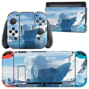 igsticker Nintendo Switch p fUCXLV[ CV jeh[ XCb` p {̃hbN Joy-Con Joycon WCR p Q[@ Jo[ ANZT[ tB XebJ[ 023454 XR@C