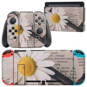 igsticker Nintendo Switch p fUCXLV[ CV jeh[ XCb` p {̃hbN Joy-Con Joycon WCR p Q[@ Jo[ ANZT[ tB XebJ[ 023479 ԁ@t