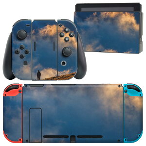 igsticker Nintendo Switch p fUCXLV[ CV jeh[ XCb` p {̃hbN Joy-Con Joycon WCR p Q[@ Jo[ ANZT[ tB XebJ[ 023489 ʐ^@