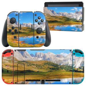 igsticker Nintendo Switch p fUCXLV[ CV jeh[ XCb` p {̃hbN Joy-Con Joycon WCR p Q[@ Jo[ ANZT[ tB XebJ[ 023514 iF@