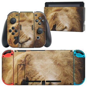 igsticker Nintendo Switch p fUCXLV[ CV jeh[ XCb` p {̃hbN Joy-Con Joycon WCR p Q[@ Jo[ ANZT[ tB XebJ[ 023528 CI