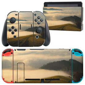 igsticker Nintendo Switch 用 デザインスキンシール 任天堂 ニンテンドー スイッチ 専用 本体ドック Joy-Con Joycon ジョイコン 専用 ゲーム機 カバー アクセサリー フィルム ステッカー 023596 景色　山　雲