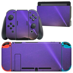 igsticker Nintendo Switch �p �f�U�C���X�L���V�[�� �C�V�� �j���e���h�[ �X�C�b�` ��p �{�̃h�b�N Joy-Con Joycon �W���C�R�� ��p �Q�[���@ �J�o�[ �A�N�Z�T���[ �t�B���� �X�e�b�J�[ 023616 ����@�e