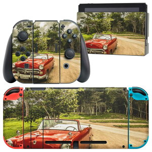 igsticker Nintendo Switch �p �f�U�C���X�L���V�[�� �C�V�� �j���e���h�[ �X�C�b�` ��p �{�̃h�b�N Joy-Con Joycon �W���C�R�� ��p �Q�[���@ �J�o�[ �A�N�Z�T���[ �t�B���� �X�e�b�J�[ 023621 �ԁ@�N��