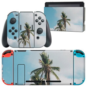 igsticker Nintendo Switch p fUCXLV[ CV jeh[ XCb` p {̃hbN Joy-Con Joycon WCR p Q[@ Jo[ ANZT[ tB XebJ[ 023646 V̖